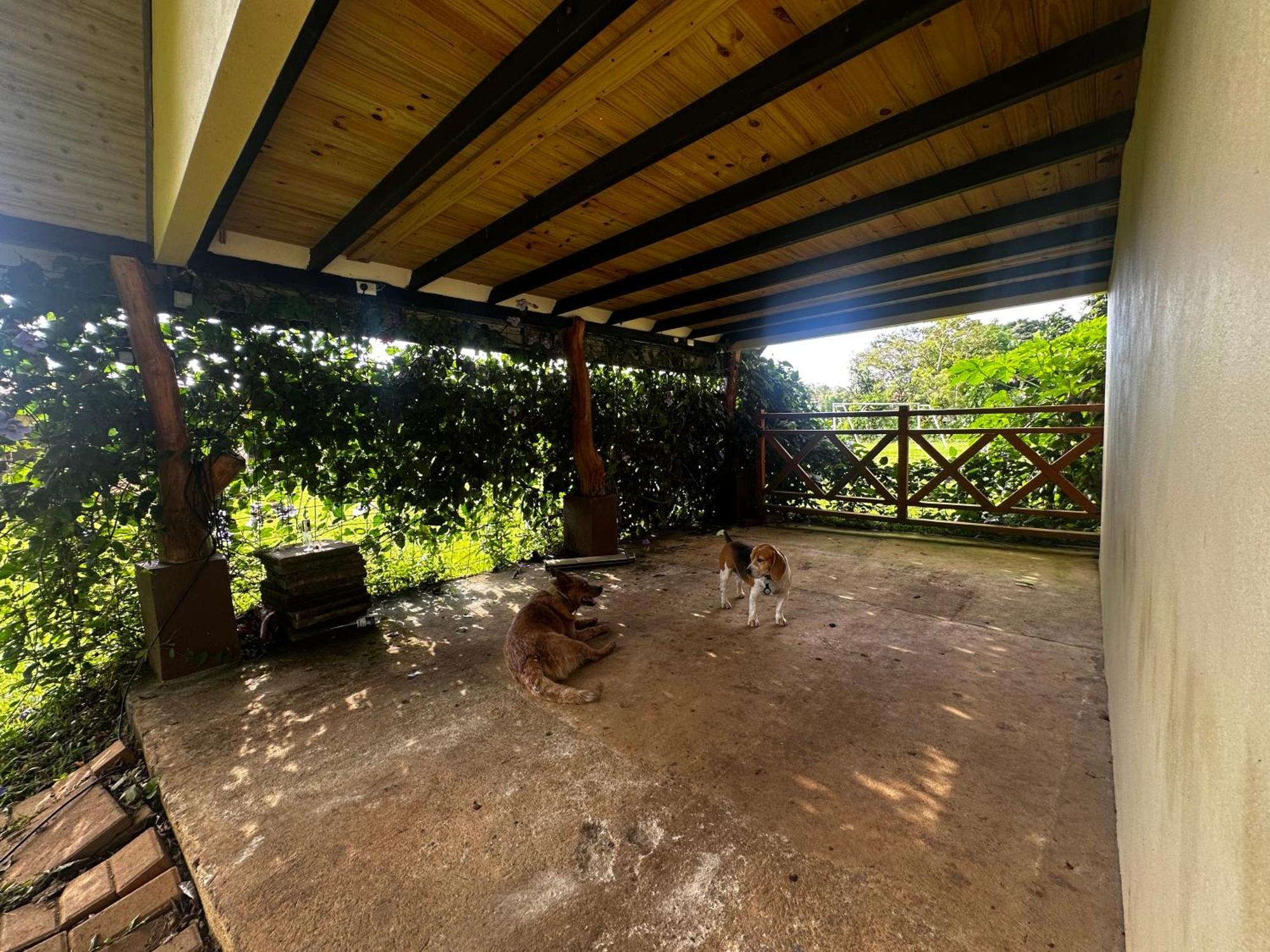 Appartement Modern Loft Inside A Beautiful Farm à General Viejo Extérieur photo